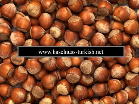 Haselnüsse türkisch